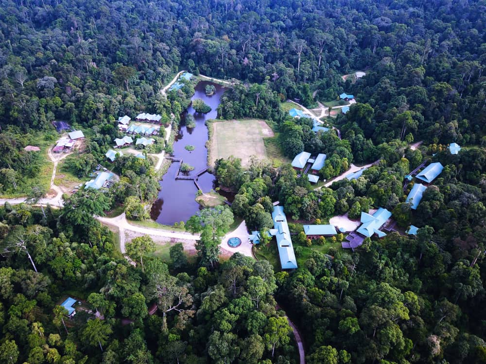 Maliau Havzası (Sabah’ın Kayıp Dünyası)  